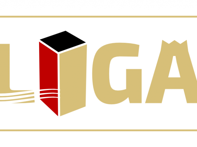 DKubbB-Liga